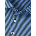 Peter Millar Hales Performance Jersey Golf Polo Shirt - Navy/Cottage Blue